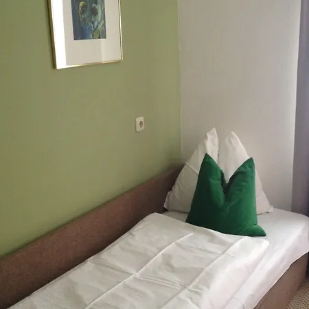 Altstadthotel Weisse Taube מלון