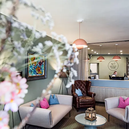 מלון Altstadthotel Weisse Taube