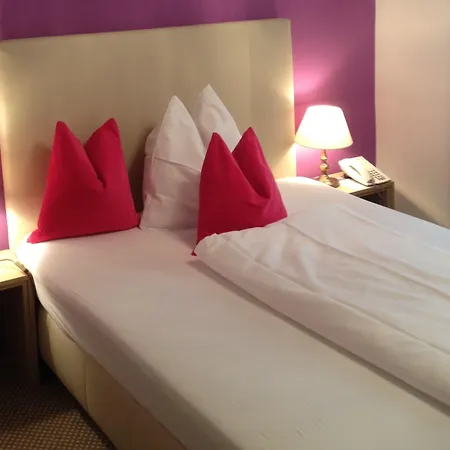 호텔 알슈타트호텔 바이세 타우베