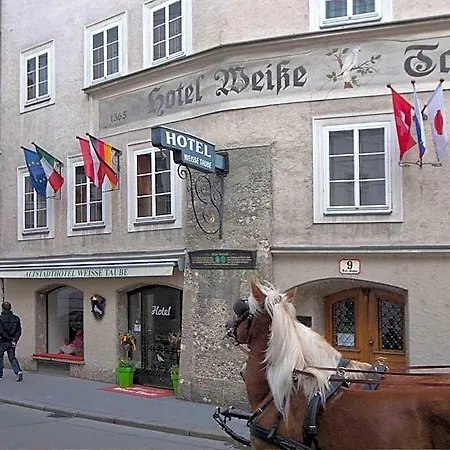 Hotel Altstadthotel Weisse Taube 4*