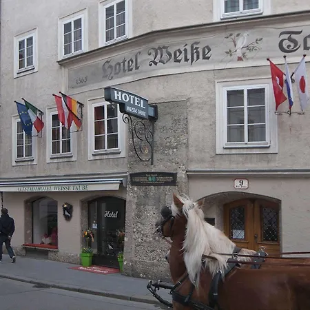 Altstadthotel Weisse Taube Hotel 4*